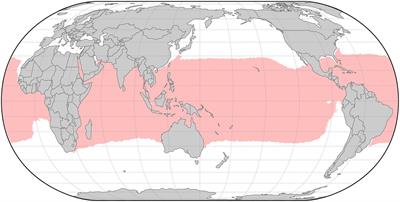 Missing in the Middle: A Review of Equatorially Disjunct Marine Taxa